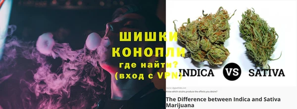гидра Гусев