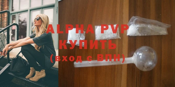 гидра Гусев