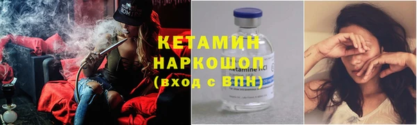гидра Гусев