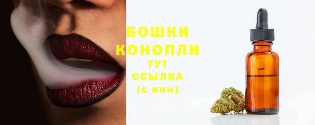 экстази Гусь-Хрустальный