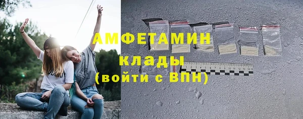 гидра Гусев