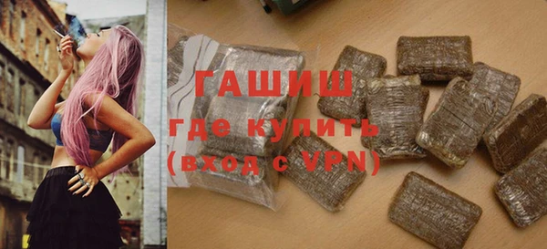 гидра Гусев