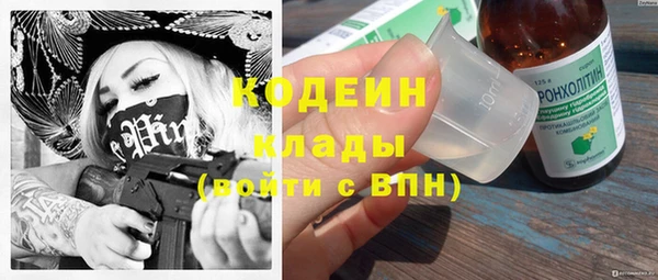 гидра Гусев