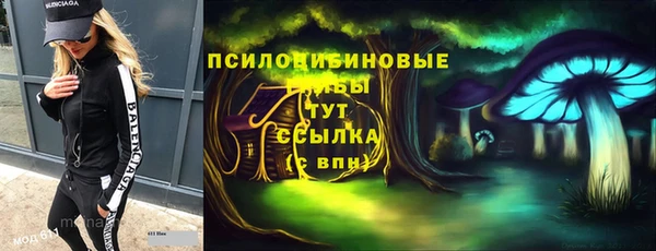 не бодяженный Гусиноозёрск