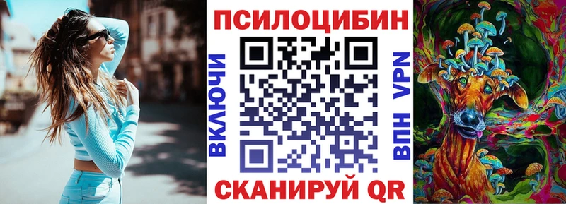 Псилоцибиновые грибы MAGIC MUSHROOMS Купить где Шлиссельбург